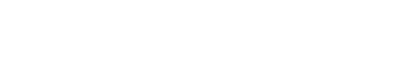 GSS 叡揚資訊